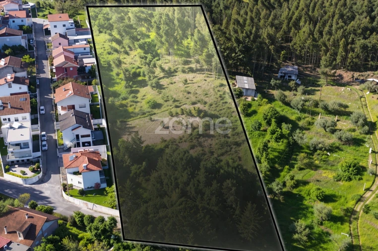 Terreno para Venda em Eiras e São Paulo de Frades Foto 4