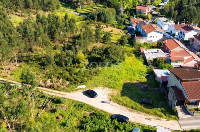 Terreno para Venda em Eiras e São Paulo de Frades Foto 14