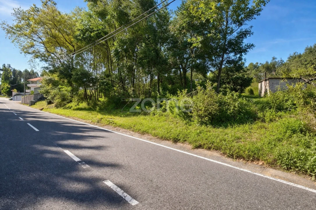 Terreno para Venda em Eiras e São Paulo de Frades Foto 6