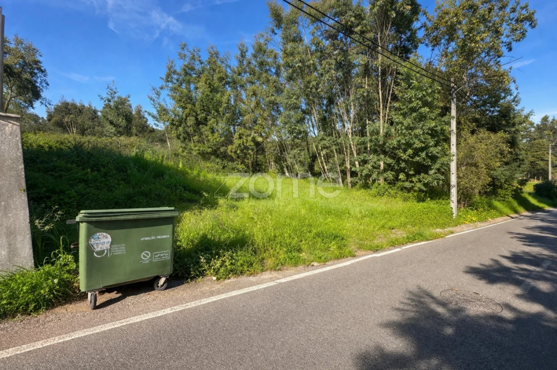Terreno para Venda em Eiras e São Paulo de Frades Foto 3