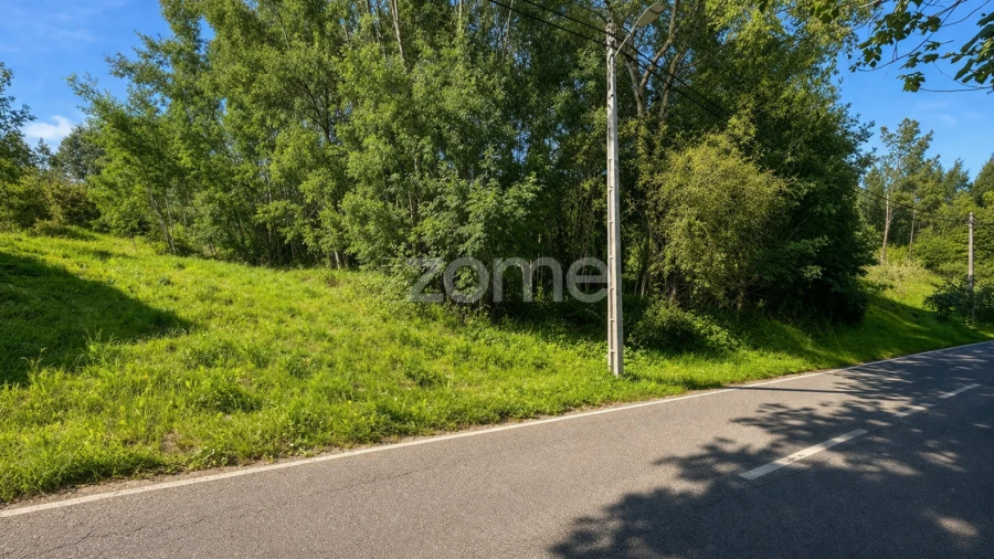 Terreno para Venda em Eiras e São Paulo de Frades