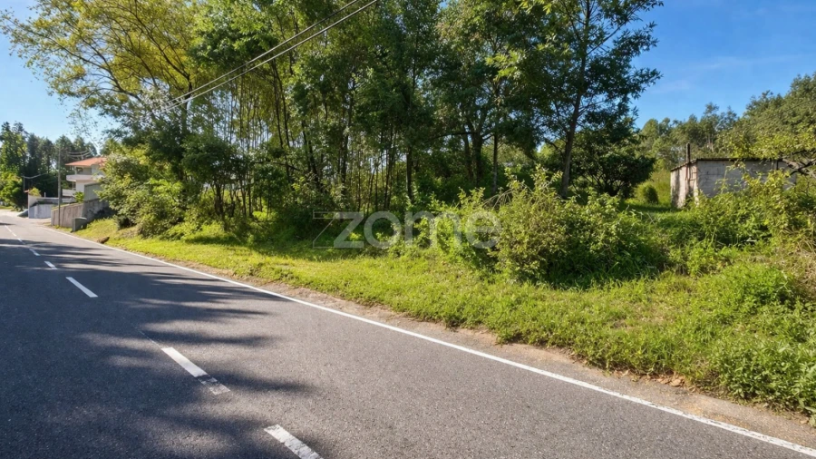 Terreno para Venda em Eiras e São Paulo de Frades