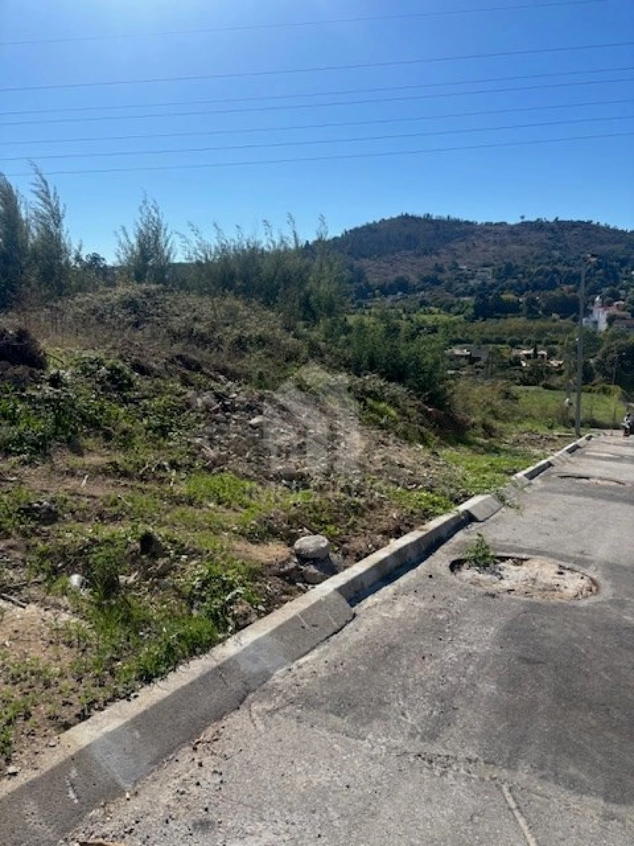 Terreno para Venda em Ferreiros e Gondizalves Foto 4
