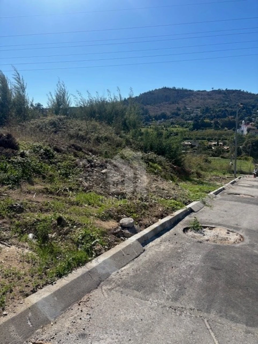 Terreno para Venda em Ferreiros e Gondizalves Foto 4
