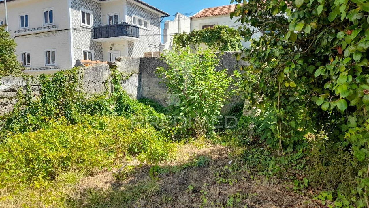 Terreno para Venda em Ílhavo (São Salvador) Foto 5