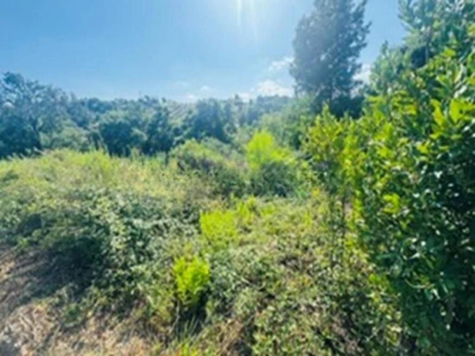 Terreno para Venda em Leiria, Pousos, Barreira e Cortes Foto 9