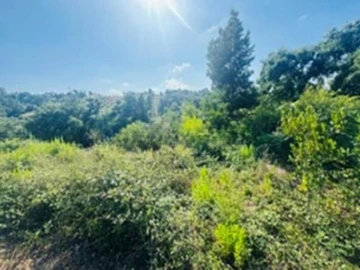 Terreno para Venda em Leiria, Pousos, Barreira e Cortes