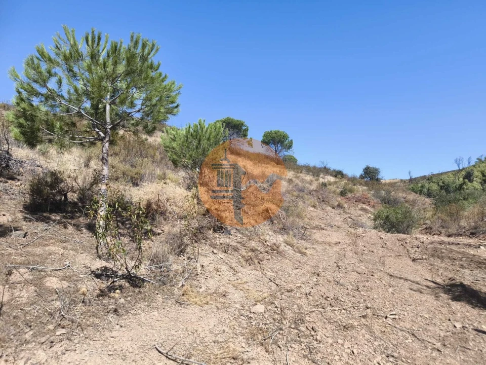 Terreno para Venda em Conceição e Cabanas de Tavira Foto 5
