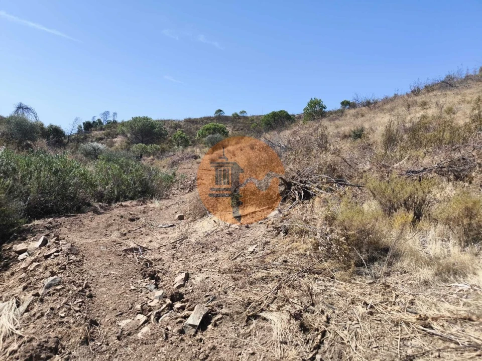 Terreno para Venda em Conceição e Cabanas de Tavira Foto 11