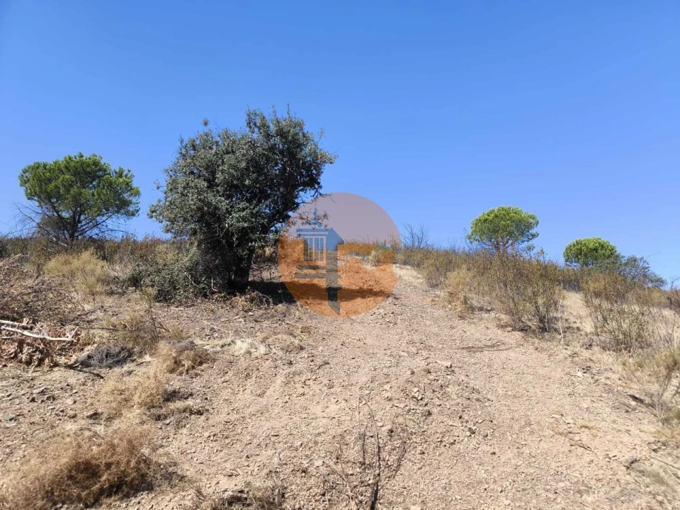 Terreno para Venda em Conceição e Cabanas de Tavira Foto 13