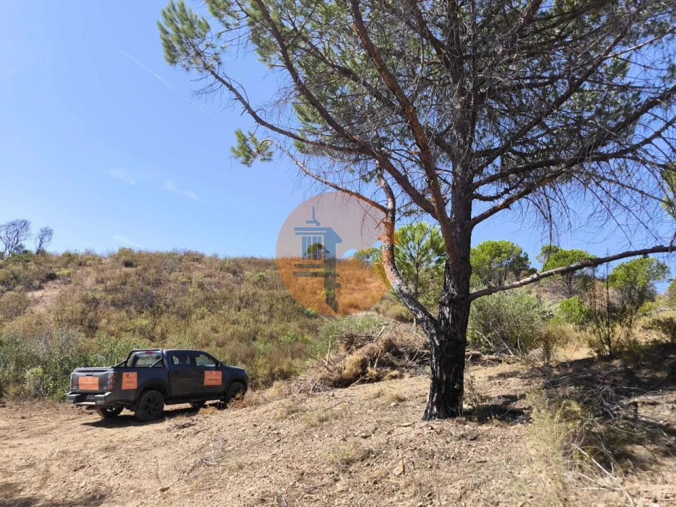 Terreno para Venda em Conceição e Cabanas de Tavira Foto 15