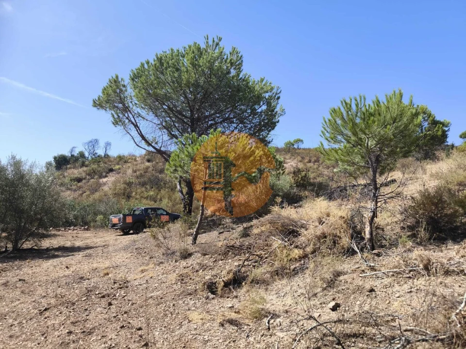 Terreno para Venda em Conceição e Cabanas de Tavira Foto 16