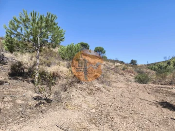 Terreno para Venda em Conceição e Cabanas de Tavira