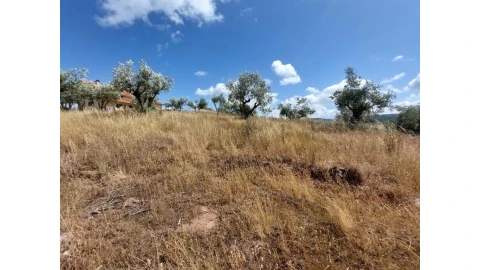 Terreno para Venda em Almalagues