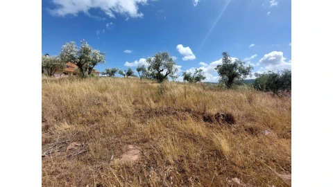 Terreno para Venda em Almalagues