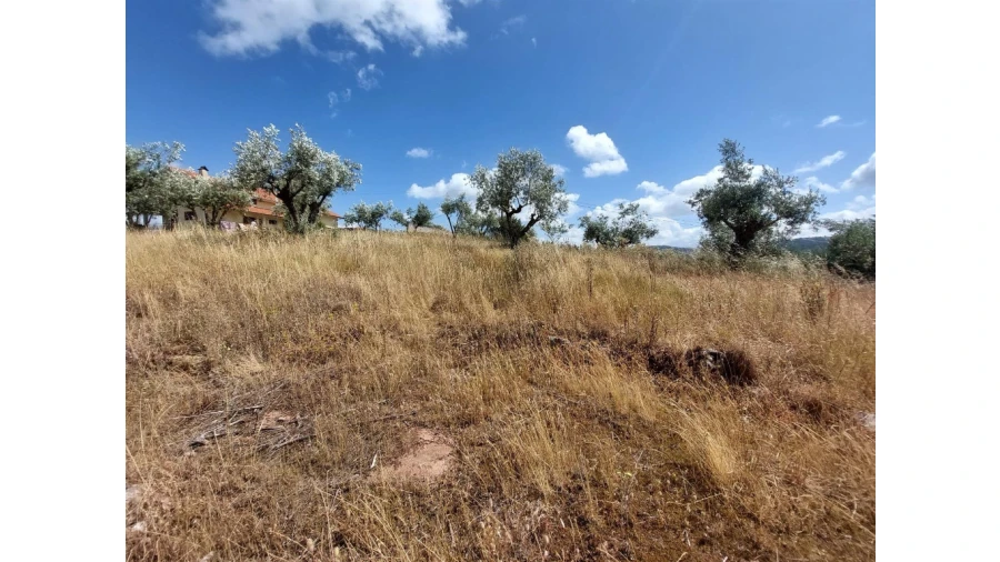 Terreno para Venda em Almalagues Foto 3