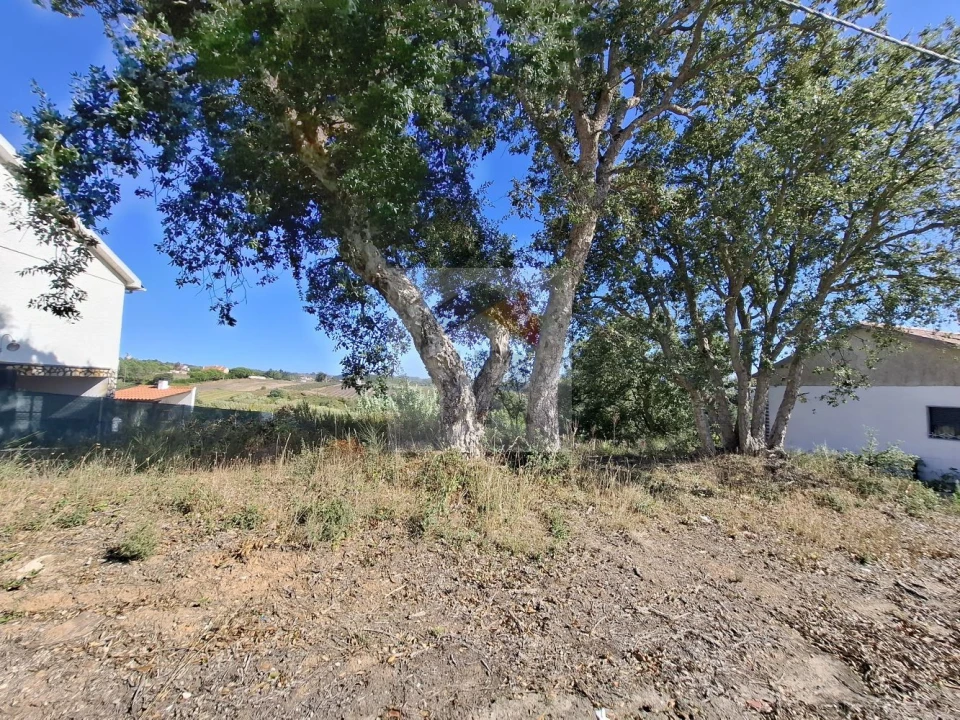 Terreno para Venda em Salir de Matos Foto 3