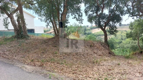 Terreno para Venda em Salir de Matos