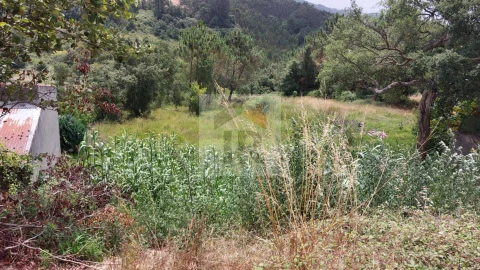 Terreno para Venda em Salir de Matos