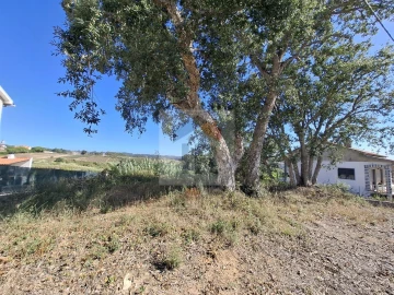 Terreno para Venda em Salir de Matos