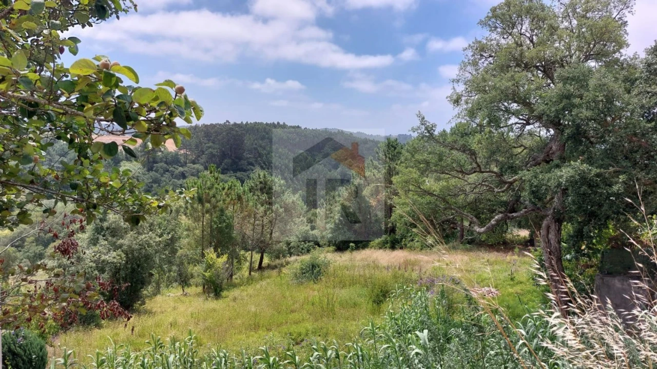Terreno para Venda em Salir de Matos Foto 15