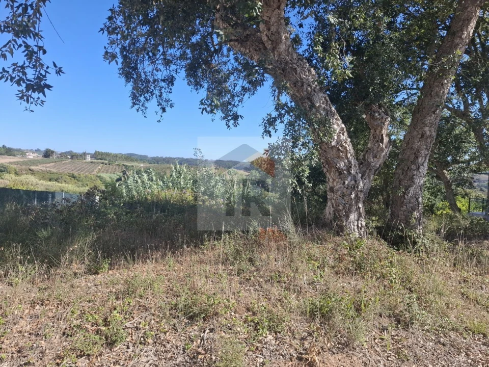 Terreno para Venda em Salir de Matos Foto 7