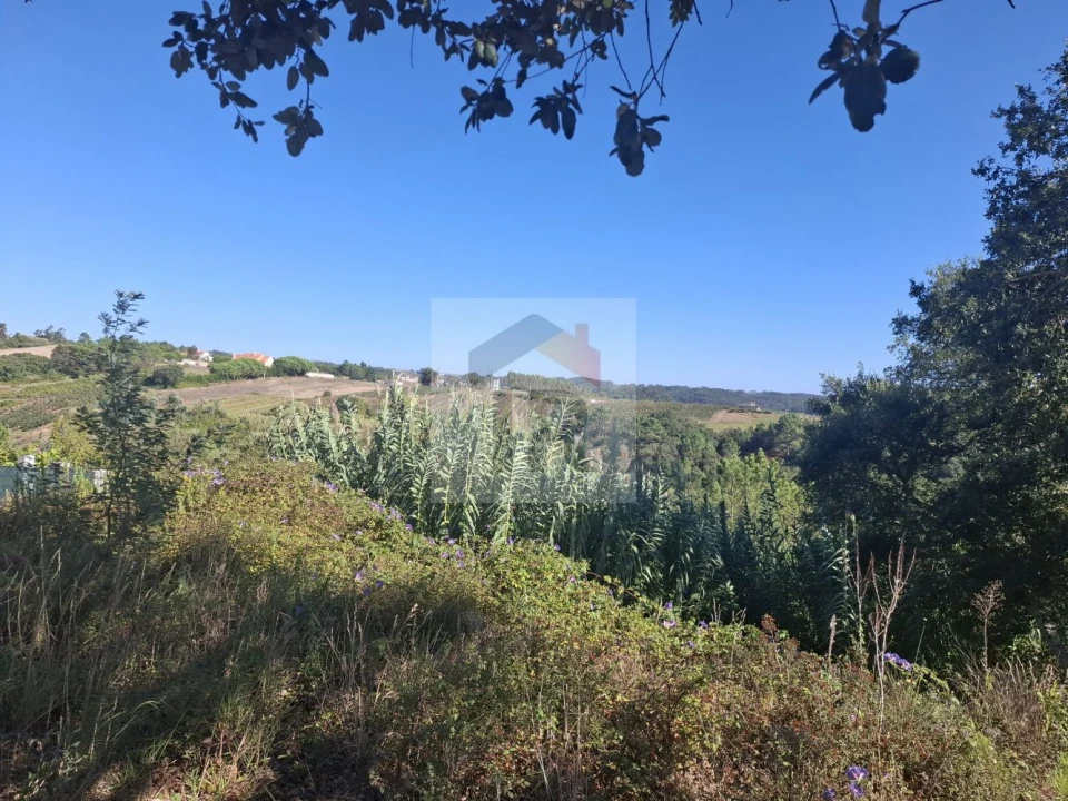 Terreno para Venda em Salir de Matos Foto 1
