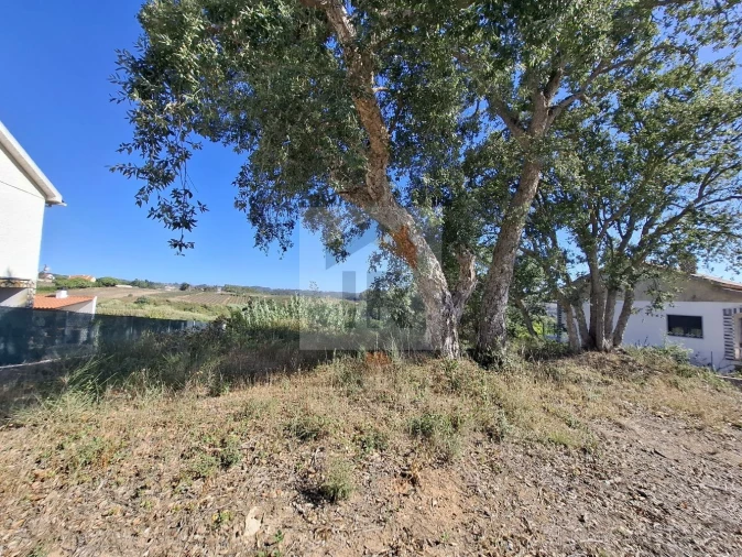 Terreno para Venda em Salir de Matos Foto 5