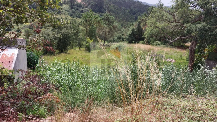 Terreno para Venda em Salir de Matos Foto 11