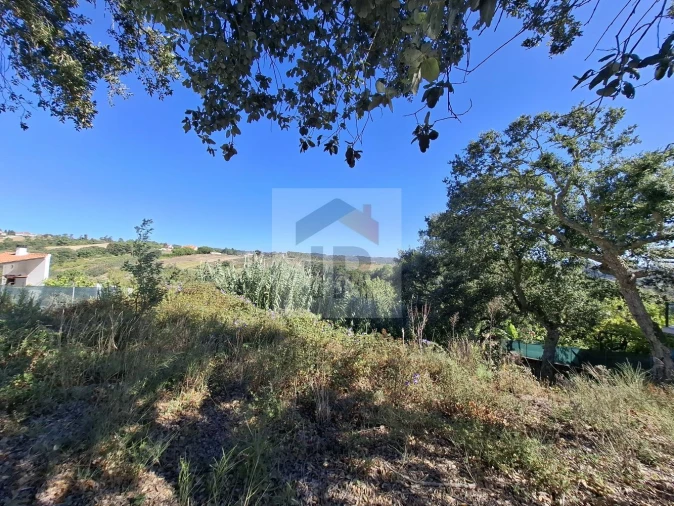 Terreno para Venda em Salir de Matos Foto 2