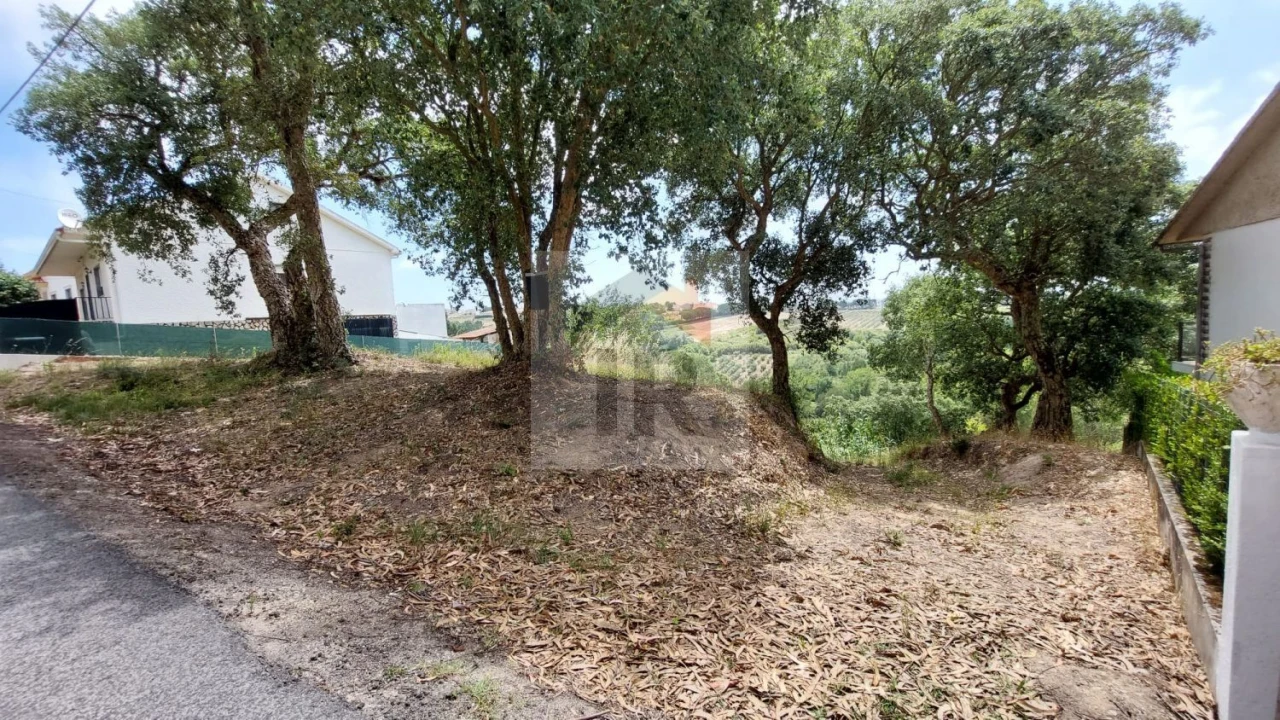 Terreno para Venda em Salir de Matos Foto 13