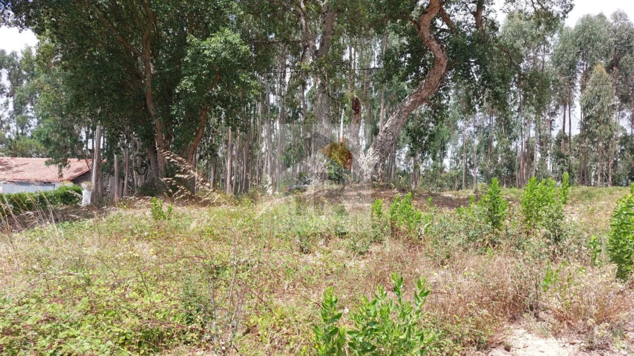 Terreno para Venda em Salir de Matos Foto 12