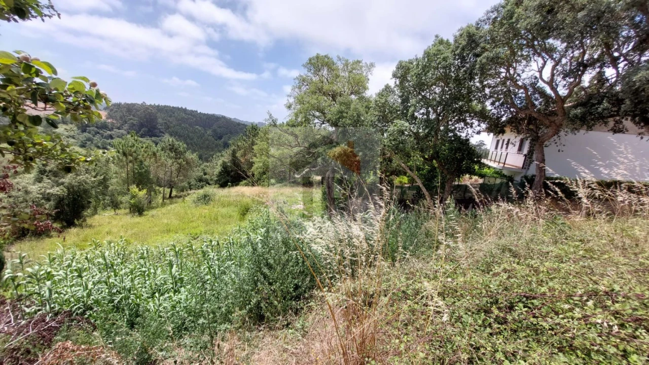 Terreno para Venda em Salir de Matos Foto 14