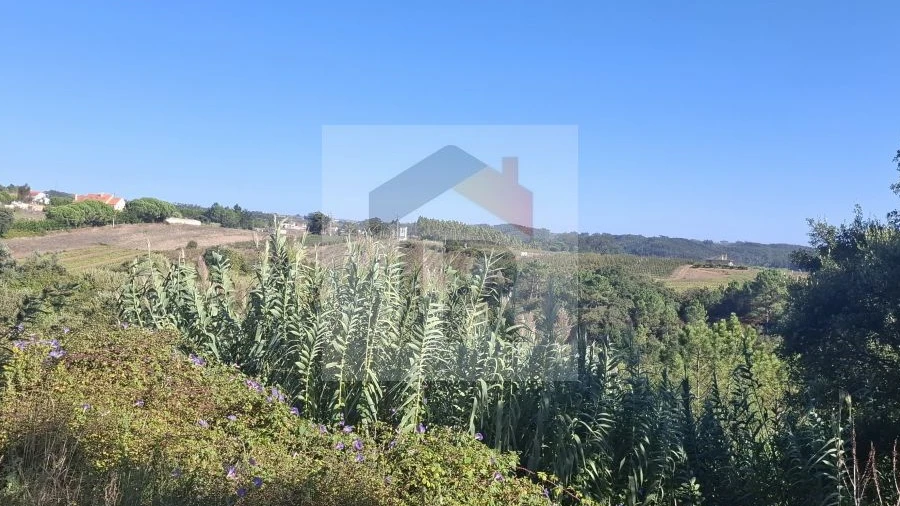 Terreno para Venda em Salir de Matos