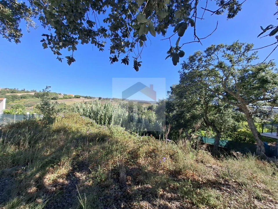 Terreno para Venda em Salir de Matos Foto 4