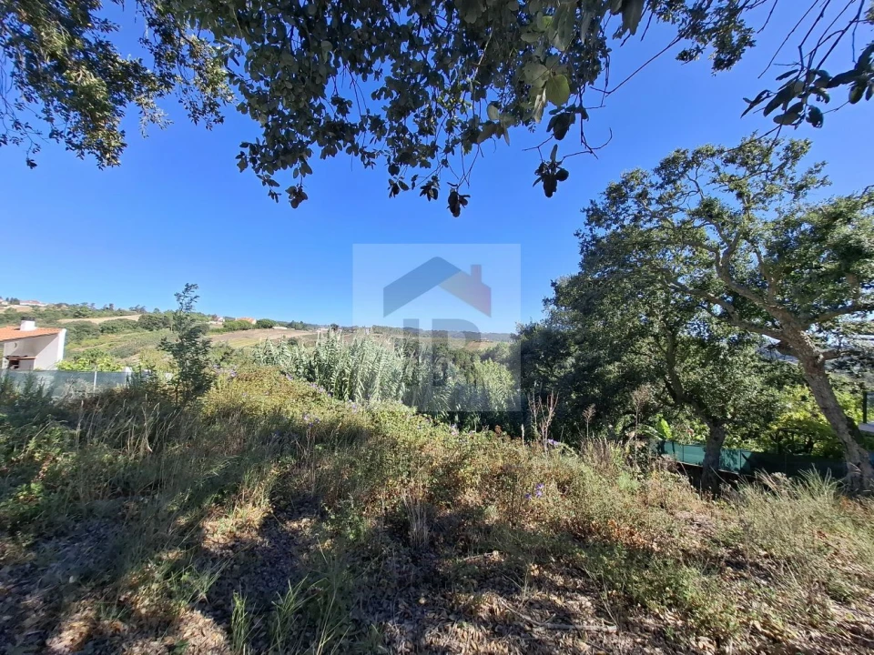 Terreno para Venda em Salir de Matos Foto 2