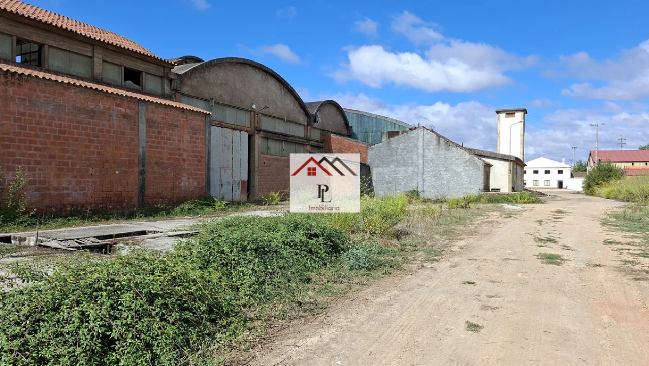 Loja para Venda em Côja e Barril de Alva Foto 12