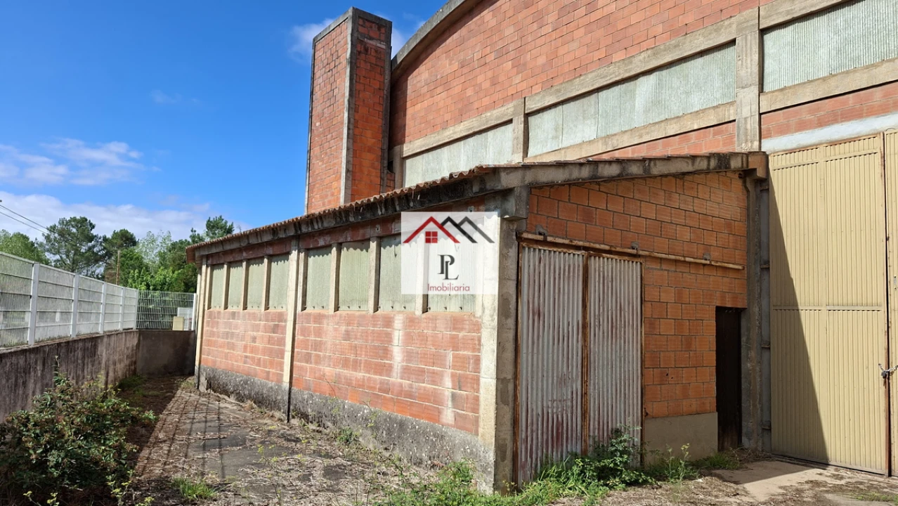 Loja para Venda em Côja e Barril de Alva Foto 15