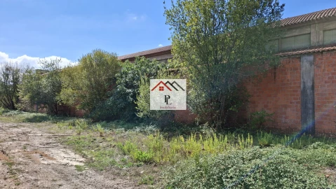 Loja para Venda em Côja e Barril de Alva