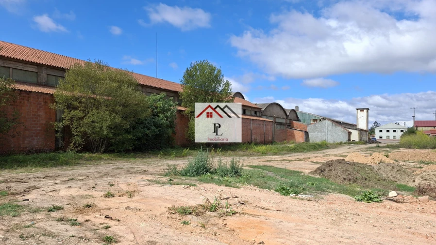 Loja para Venda em Côja e Barril de Alva Foto 19