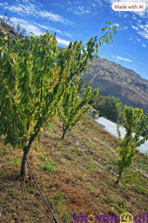Terreno para Venda em Resende