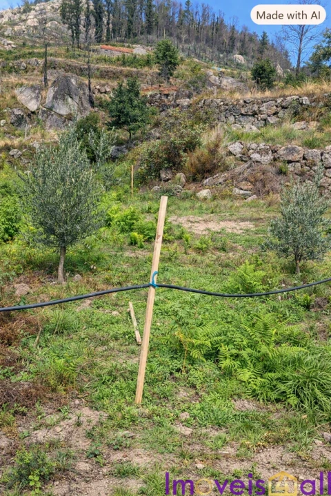 Terreno para Venda em Resende