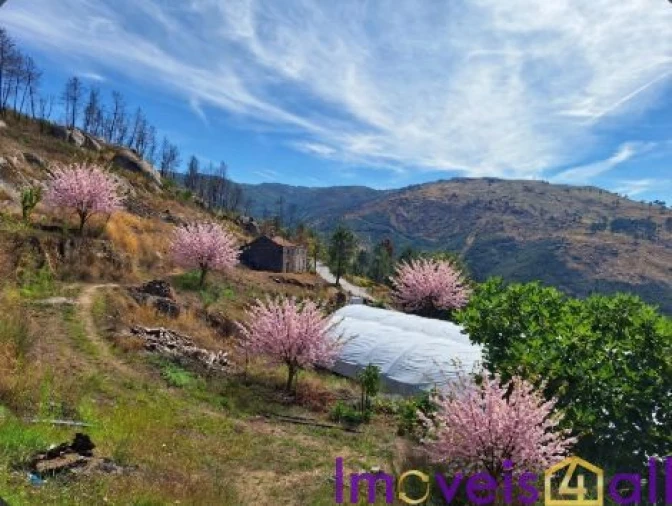 Terreno para Venda em Resende Foto 11