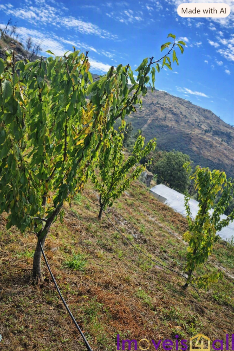 Terreno para Venda em Resende Foto 24