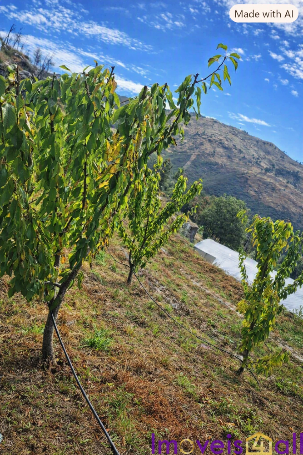 Terreno para Venda em Resende Foto 24