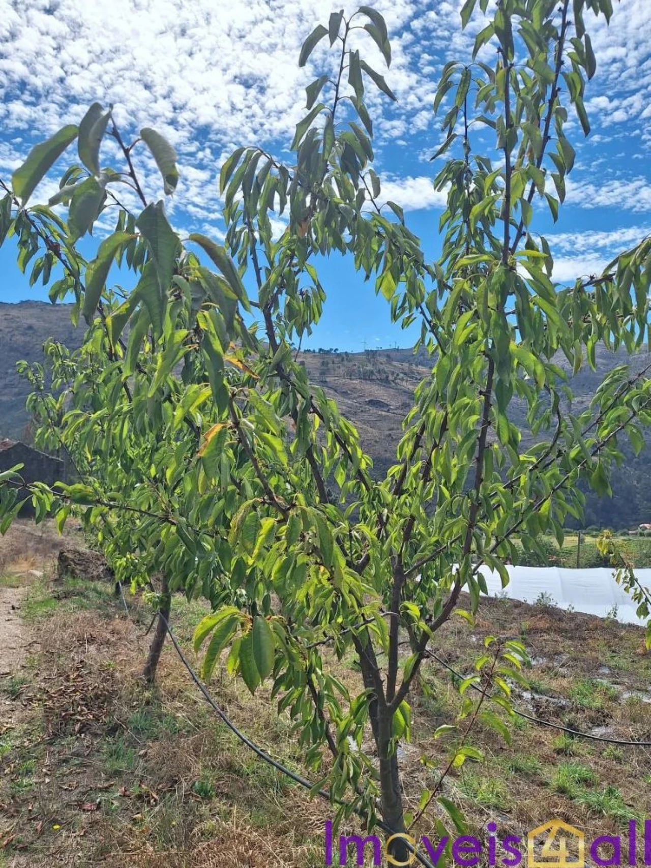 Terreno para Venda em Resende Foto 25