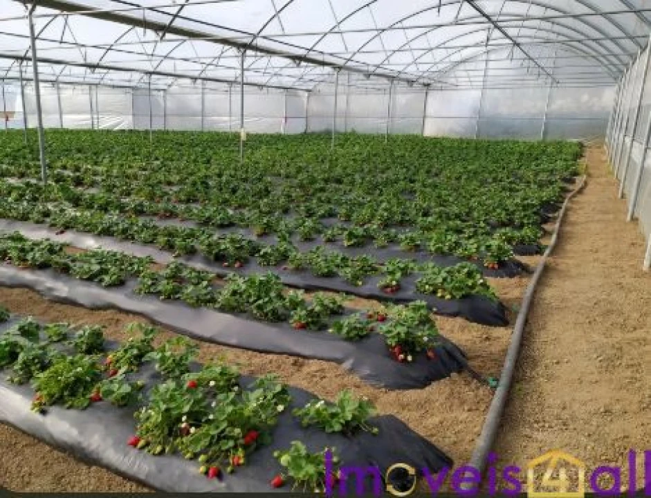 Terreno para Venda em Resende Foto 18