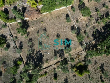 Terreno para Venda em Vila de Rei