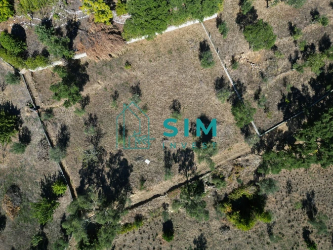 Terreno para Venda em Vila de Rei Foto 4
