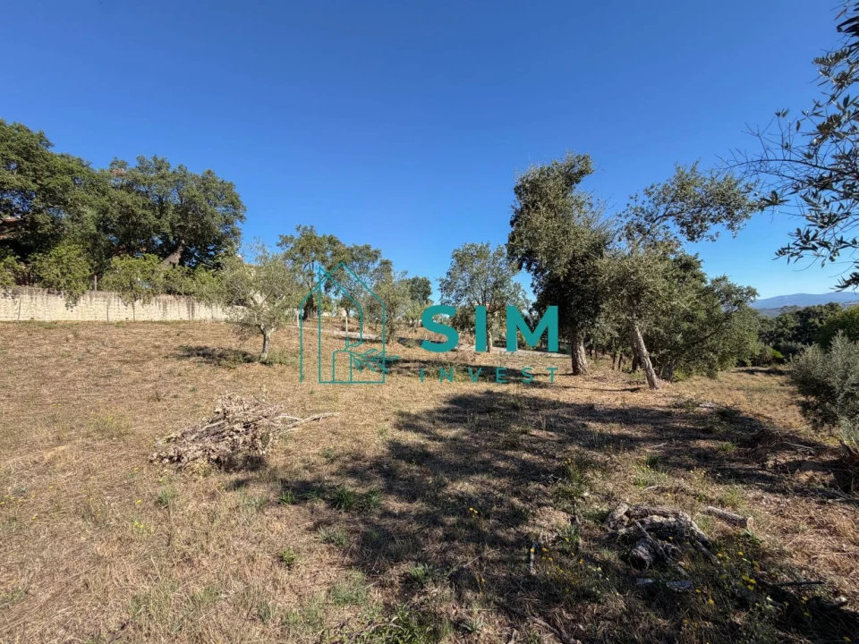 Terreno para Venda em Vila de Rei Foto 10